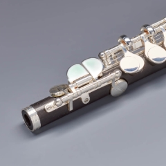 Piccolo 401